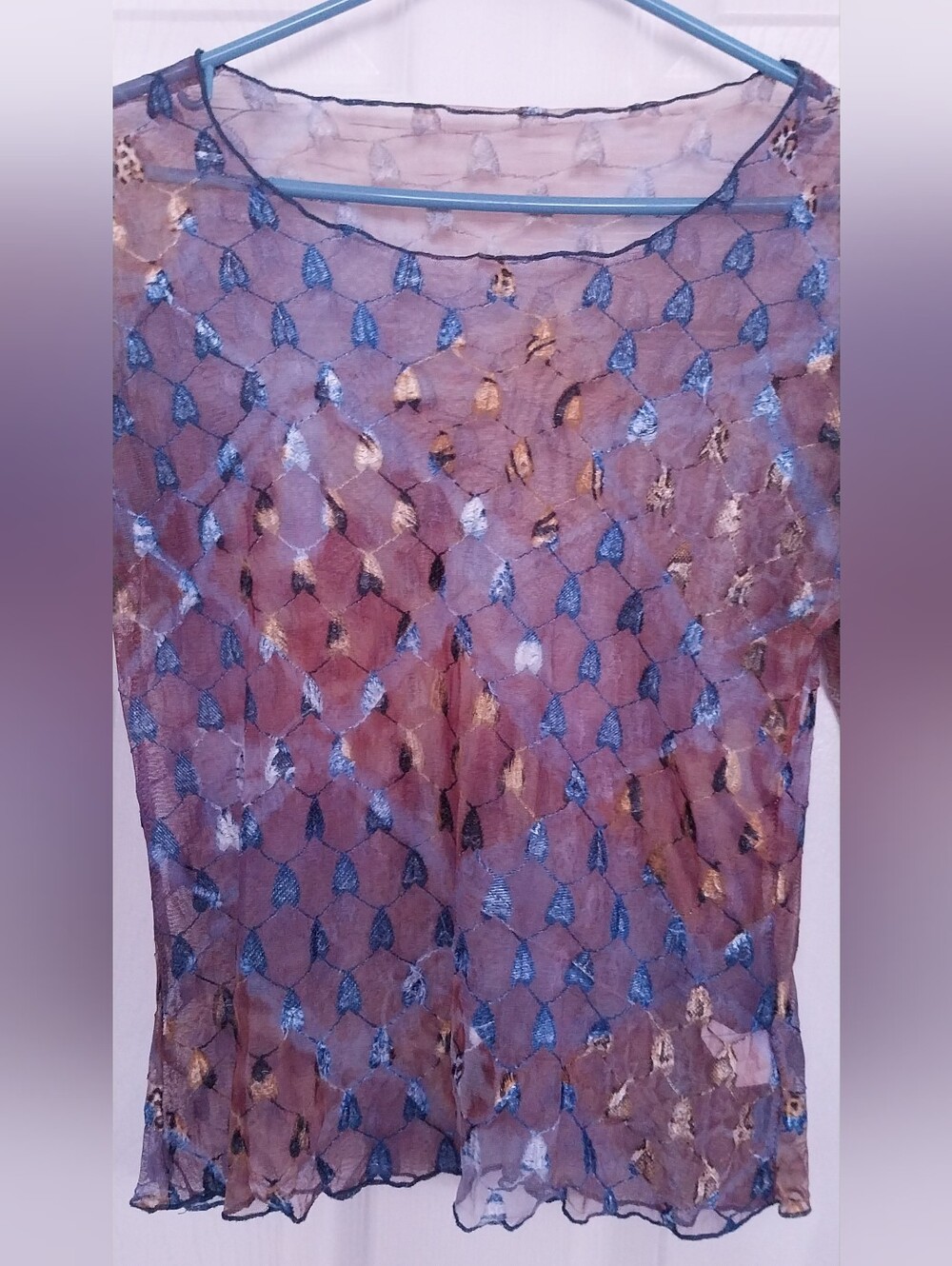 Sheer Long-Sleeve Mesh Top in Blue and Brown - Picture 7 of 9